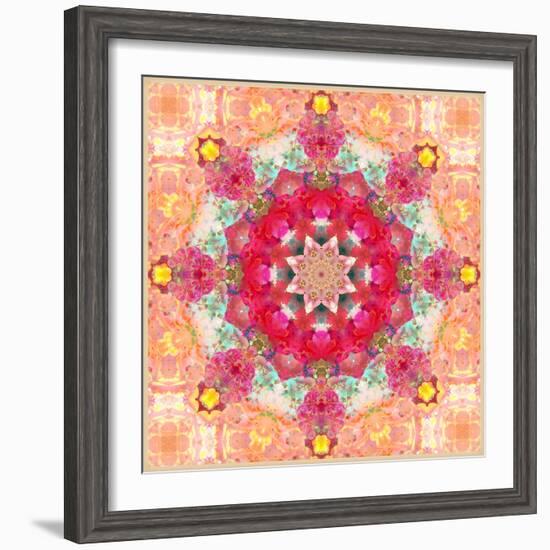 A Floral Montage, Layer Work from Pink and Red Poeny Blossoms and Pink Cherry Blossoms-Alaya Gadeh-Framed Photographic Print