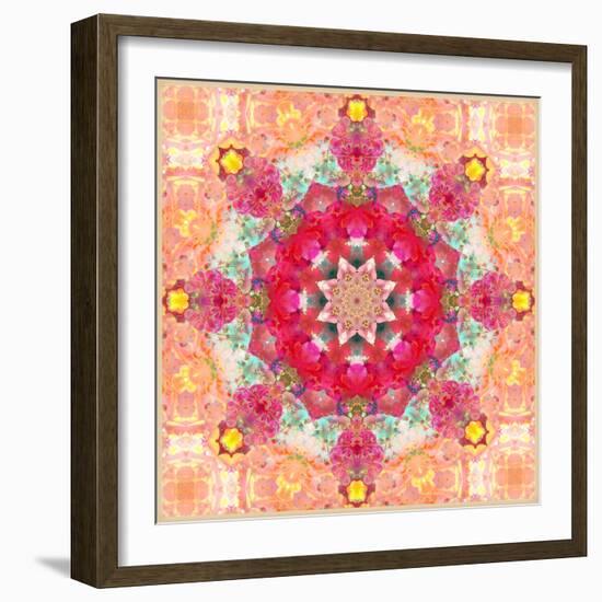 A Floral Montage, Layer Work from Pink and Red Poeny Blossoms and Pink Cherry Blossoms-Alaya Gadeh-Framed Photographic Print