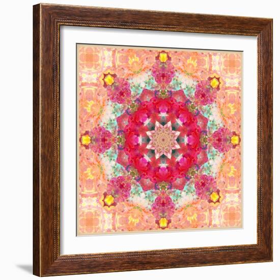 A Floral Montage, Layer Work from Pink and Red Poeny Blossoms and Pink Cherry Blossoms-Alaya Gadeh-Framed Photographic Print