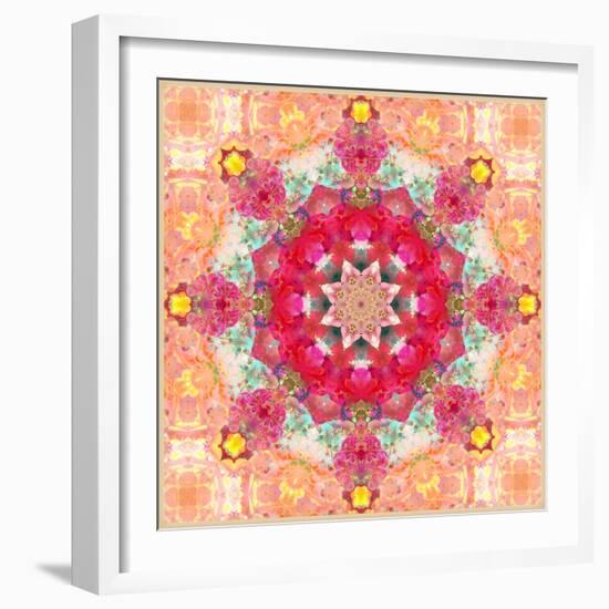 A Floral Montage, Layer Work from Pink and Red Poeny Blossoms and Pink Cherry Blossoms-Alaya Gadeh-Framed Photographic Print