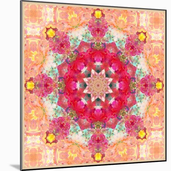 A Floral Montage, Layer Work from Pink and Red Poeny Blossoms and Pink Cherry Blossoms-Alaya Gadeh-Mounted Photographic Print