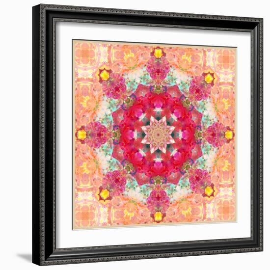 A Floral Montage, Layer Work from Pink and Red Poeny Blossoms and Pink Cherry Blossoms-Alaya Gadeh-Framed Photographic Print