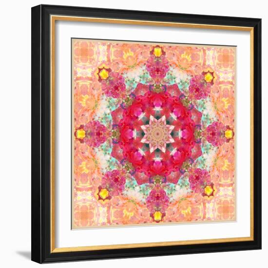 A Floral Montage, Layer Work from Pink and Red Poeny Blossoms and Pink Cherry Blossoms-Alaya Gadeh-Framed Photographic Print