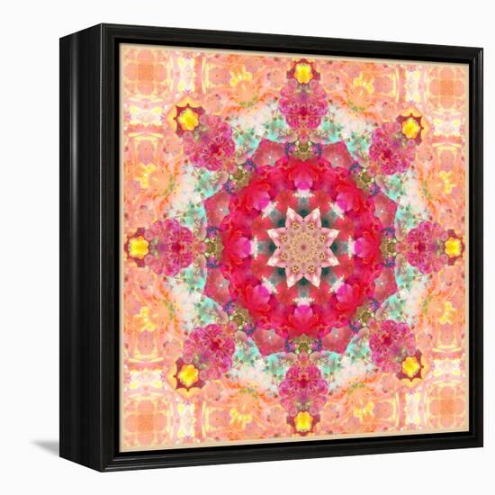 A Floral Montage, Layer Work from Pink and Red Poeny Blossoms and Pink Cherry Blossoms-Alaya Gadeh-Framed Premier Image Canvas