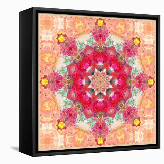 A Floral Montage, Layer Work from Pink and Red Poeny Blossoms and Pink Cherry Blossoms-Alaya Gadeh-Framed Premier Image Canvas