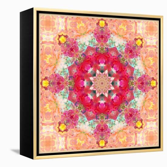 A Floral Montage, Layer Work from Pink and Red Poeny Blossoms and Pink Cherry Blossoms-Alaya Gadeh-Framed Premier Image Canvas