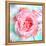 A Floral Montage of a Mallow and a Rose in Powerful Pastels, Photograph, Layer Work-Alaya Gadeh-Framed Premier Image Canvas