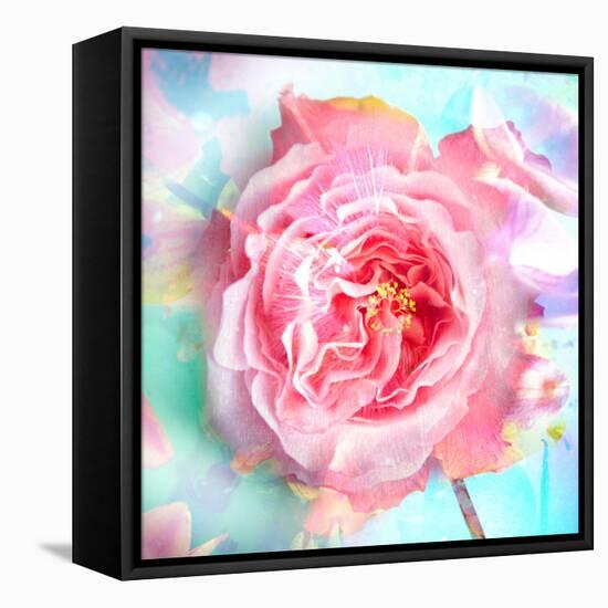 A Floral Montage of a Mallow and a Rose in Powerful Pastels, Photograph, Layer Work-Alaya Gadeh-Framed Premier Image Canvas