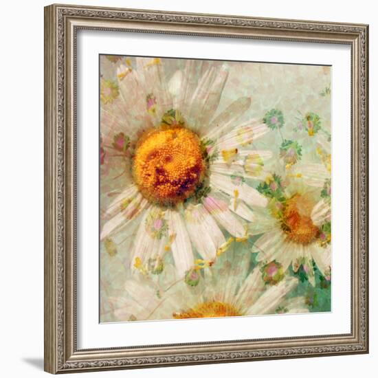 A Floral Montage of a Wild Daisy and Blossoms in Gentle Colors-Alaya Gadeh-Framed Photographic Print