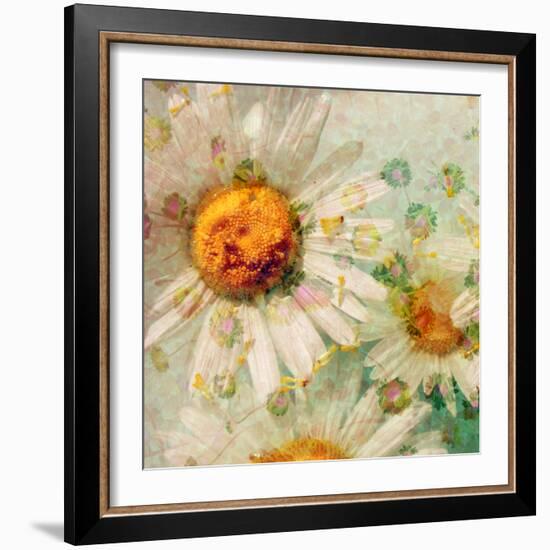 A Floral Montage of a Wild Daisy and Blossoms in Gentle Colors-Alaya Gadeh-Framed Photographic Print