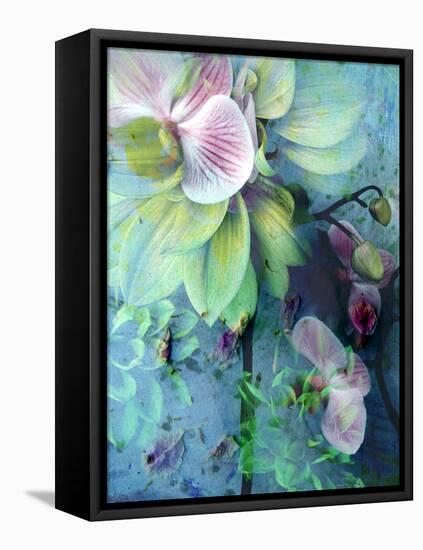 A Floral Montage of Dahlia and Orchid-Alaya Gadeh-Framed Premier Image Canvas