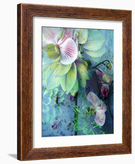 A Floral Montage of Dahlia and Orchid-Alaya Gadeh-Framed Photographic Print