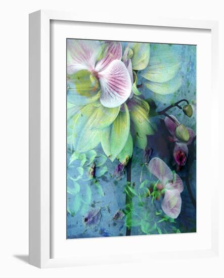 A Floral Montage of Dahlia and Orchid-Alaya Gadeh-Framed Photographic Print