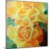 A Floral Montage of Yellow Roses and Ornamental Texture, Photograph, Layer Work-Alaya Gadeh-Mounted Photographic Print