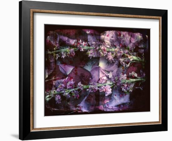 A Floral Montage on an Open Book-Alaya Gadeh-Framed Photographic Print