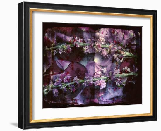 A Floral Montage on an Open Book-Alaya Gadeh-Framed Photographic Print