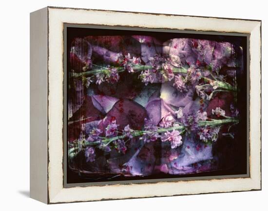 A Floral Montage on an Open Book-Alaya Gadeh-Framed Premier Image Canvas