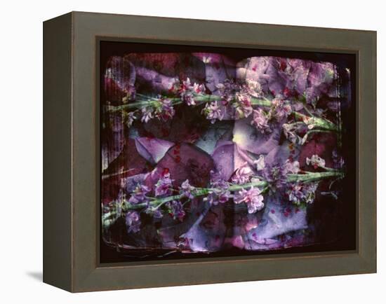 A Floral Montage on an Open Book-Alaya Gadeh-Framed Premier Image Canvas