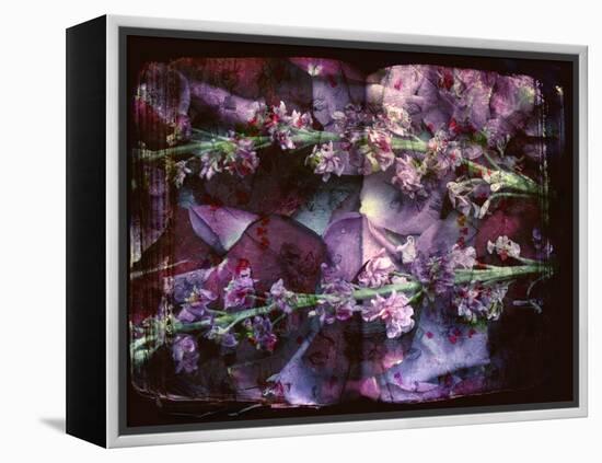 A Floral Montage on an Open Book-Alaya Gadeh-Framed Premier Image Canvas