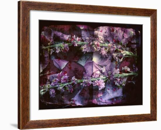 A Floral Montage on an Open Book-Alaya Gadeh-Framed Photographic Print