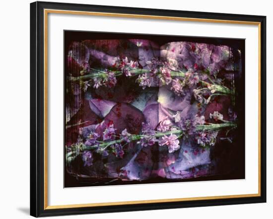 A Floral Montage on an Open Book-Alaya Gadeh-Framed Photographic Print