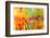 A Floral Montage, Photograph, Layer Work of Tulips and Other Flowers Multicolor-Alaya Gadeh-Framed Photographic Print