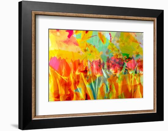 A Floral Montage, Photograph, Layer Work of Tulips and Other Flowers Multicolor-Alaya Gadeh-Framed Photographic Print