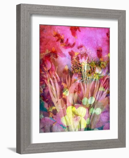 A Floral Montage, Photograph, Layer Work of Tulips and Other Flowers Multicolor-Alaya Gadeh-Framed Photographic Print