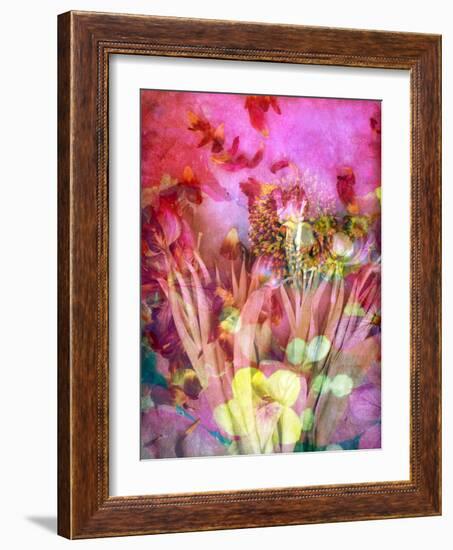 A Floral Montage, Photograph, Layer Work of Tulips and Other Flowers Multicolor-Alaya Gadeh-Framed Photographic Print