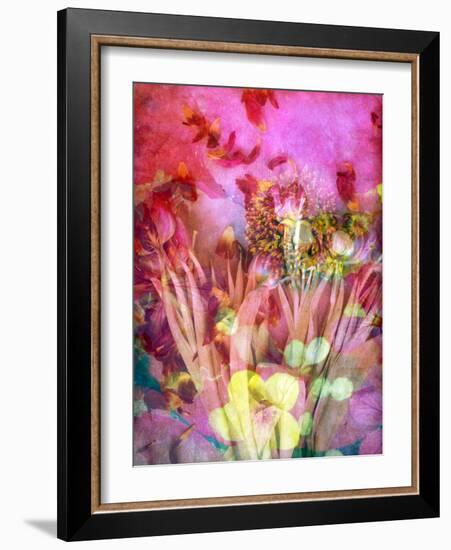 A Floral Montage, Photograph, Layer Work of Tulips and Other Flowers Multicolor-Alaya Gadeh-Framed Photographic Print