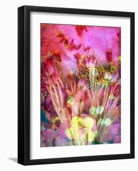 A Floral Montage, Photograph, Layer Work of Tulips and Other Flowers Multicolor-Alaya Gadeh-Framed Photographic Print
