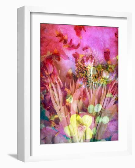 A Floral Montage, Photograph, Layer Work of Tulips and Other Flowers Multicolor-Alaya Gadeh-Framed Photographic Print