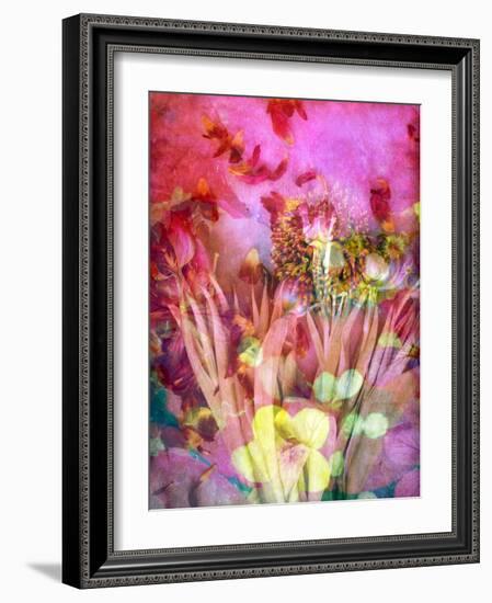 A Floral Montage, Photograph, Layer Work of Tulips and Other Flowers Multicolor-Alaya Gadeh-Framed Photographic Print