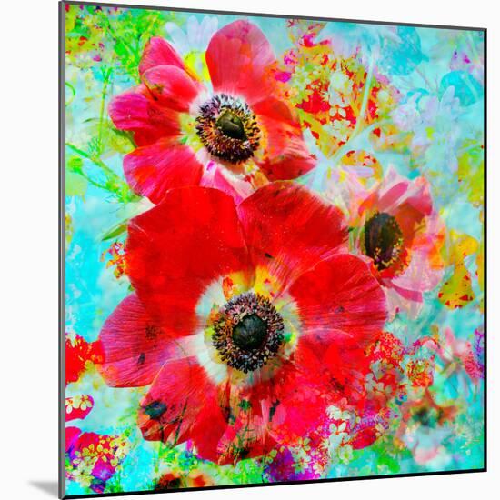 A Floral Montage with Anemones-Alaya Gadeh-Mounted Photographic Print