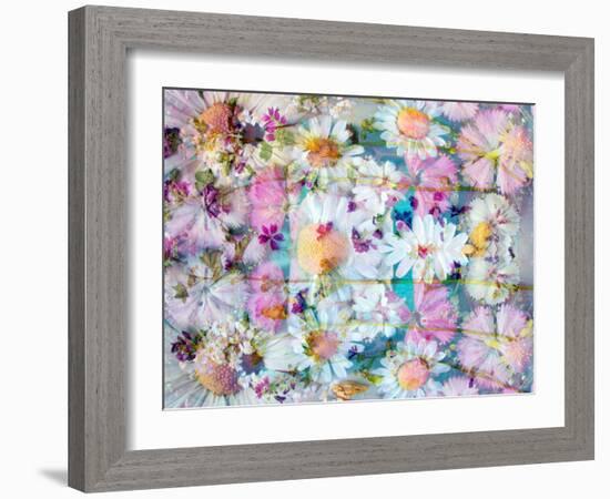 A Floral Montage with Daisies-Alaya Gadeh-Framed Photographic Print