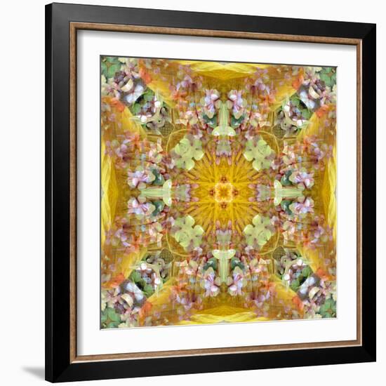 A Floral Montage with Leafes-Alaya Gadeh-Framed Photographic Print