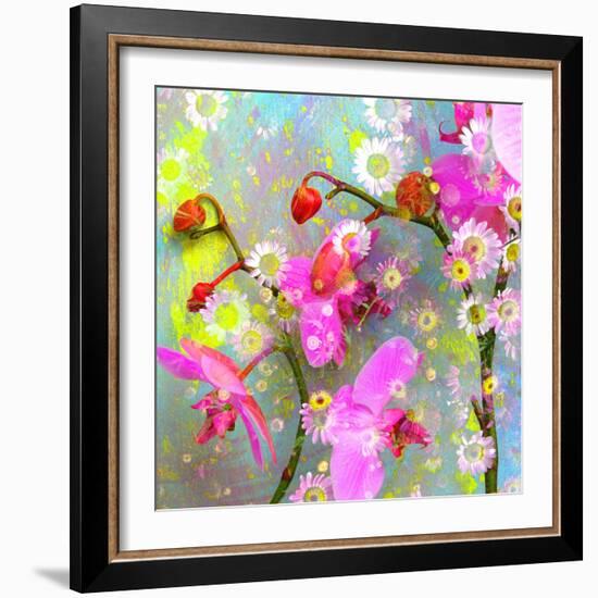 A Floral Montage with Pink Orchid and Daisy-Alaya Gadeh-Framed Photographic Print