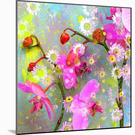 A Floral Montage with Pink Orchid and Daisy-Alaya Gadeh-Mounted Photographic Print
