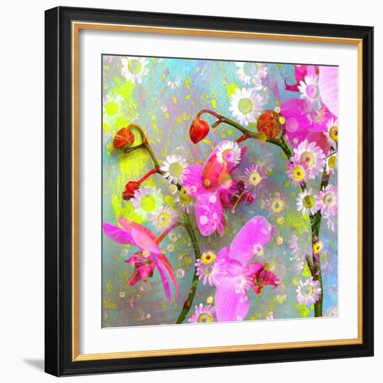 A Floral Montage with Pink Orchid and Daisy-Alaya Gadeh-Framed Photographic Print