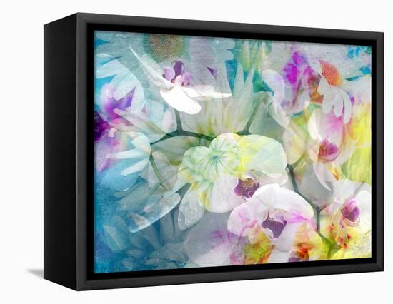 A Floral Montage with White Orchids and Multicolor Dahlia-Alaya Gadeh-Framed Premier Image Canvas