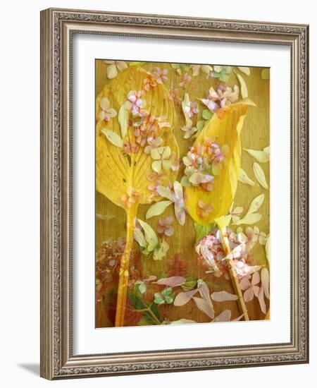 A Floral Montage with Yellow Leafes and Pink Hydrangea Blossoms-Alaya Gadeh-Framed Photographic Print