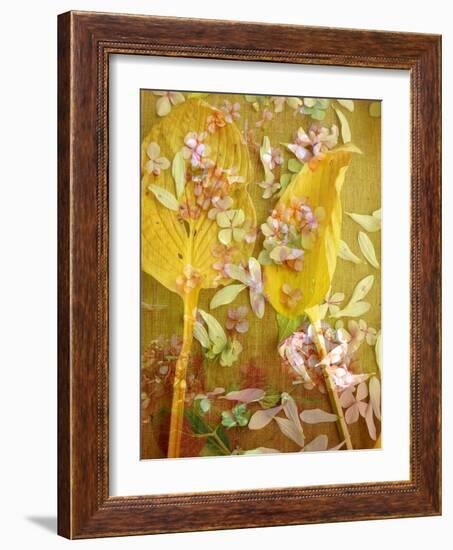 A Floral Montage with Yellow Leafes and Pink Hydrangea Blossoms-Alaya Gadeh-Framed Photographic Print