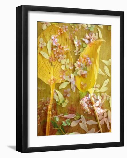 A Floral Montage with Yellow Leafes and Pink Hydrangea Blossoms-Alaya Gadeh-Framed Photographic Print