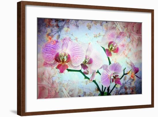 A Floral Montage-Alaya Gadeh-Framed Photographic Print