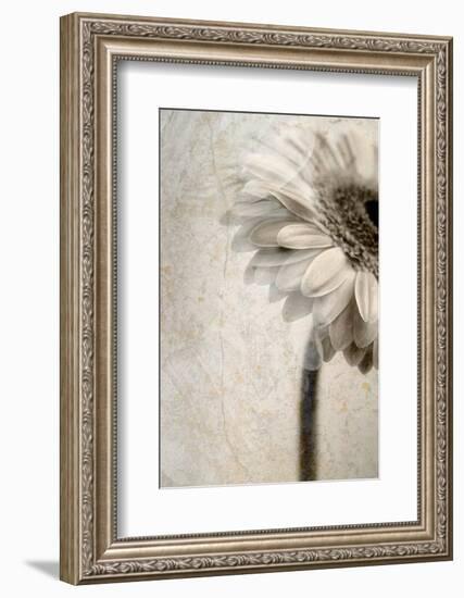 A Floral Montage-Alaya Gadeh-Framed Photographic Print