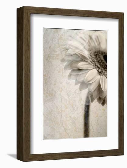 A Floral Montage-Alaya Gadeh-Framed Photographic Print