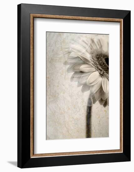 A Floral Montage-Alaya Gadeh-Framed Photographic Print