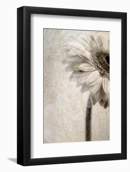 A Floral Montage-Alaya Gadeh-Framed Photographic Print