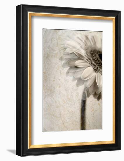 A Floral Montage-Alaya Gadeh-Framed Photographic Print