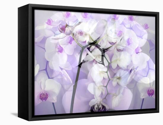 A Floral Montage-Alaya Gadeh-Framed Premier Image Canvas